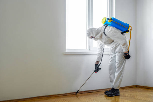 Best Pest Control for Multi-Family Homes  in White River Junction, VT